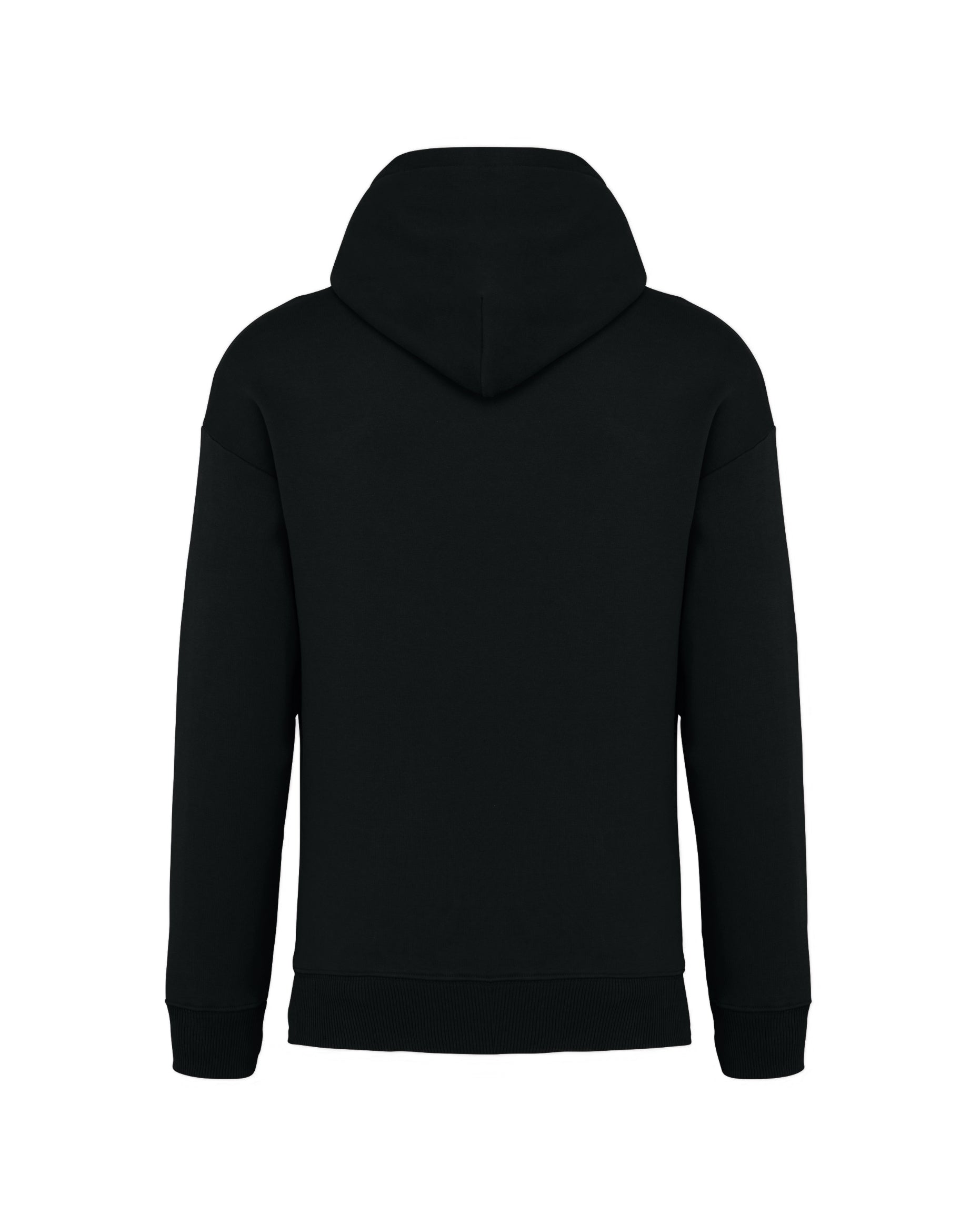 PAYSE Blocks Hoodie